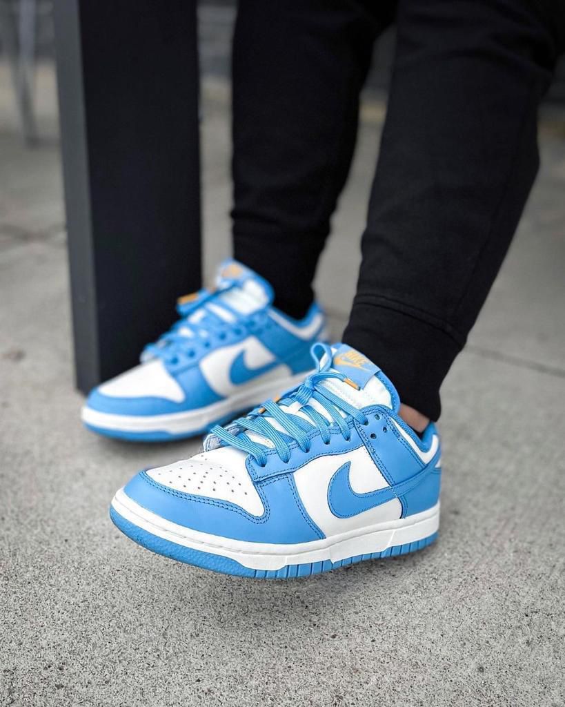 Nike Dunk Low Coast sneakers
