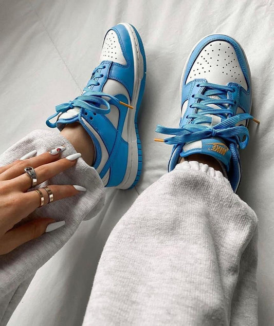 Nike Dunk Low Coast sneakers 