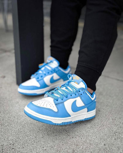 Nike Dunk Low Coast sneakers 